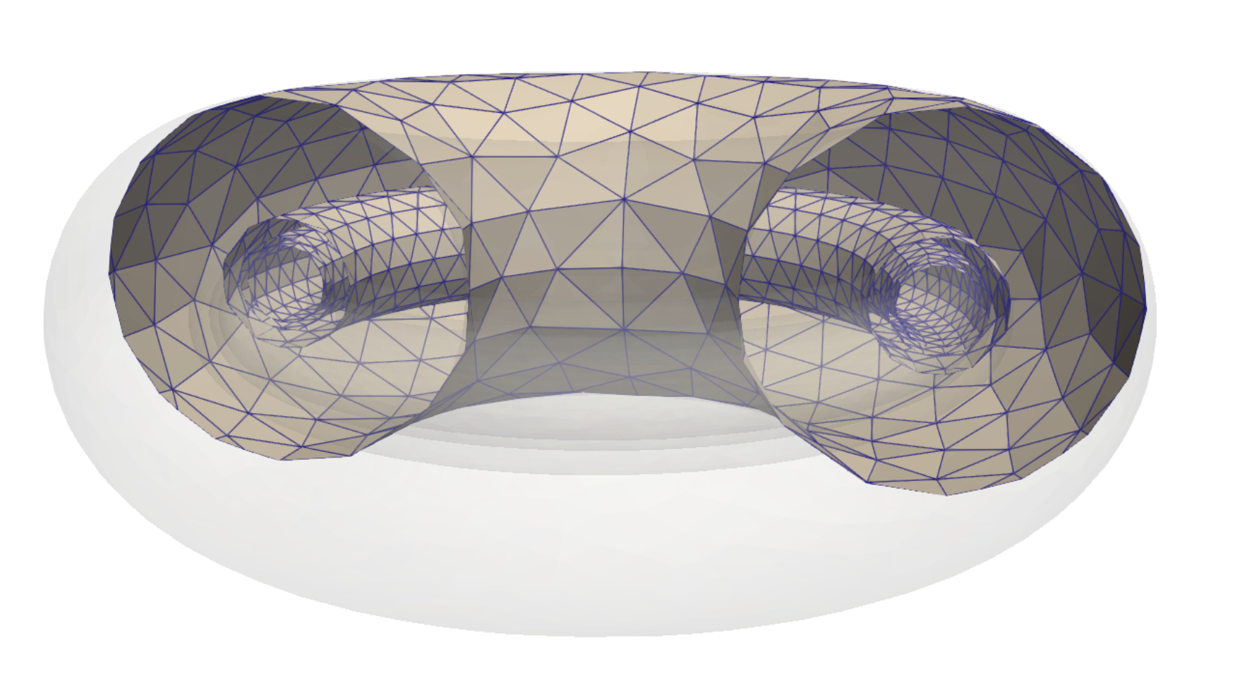 Model DAGMC mesh.