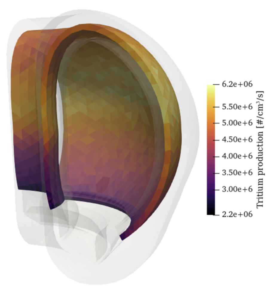 Example Paramak tokamak model tritium production rate density result.