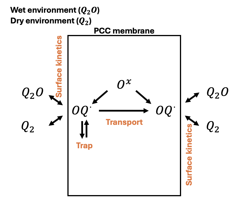 Schematic of the hydrogen isotope transport in PCCs.